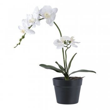 Umělá orchidej, zeleno-bílá, výška 49 cm – House Nordic