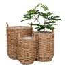 Sada úložných košů Hue, mořská tráva, přírodní, Ø20–31 cm – House Nordic
