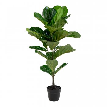 Umělá rostlina Fiddle Leaf, zelená, 46×36×100 cm – House Nordic