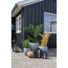 Umělá palma Areca, zelená, 64×64×175 cm – House Nordic