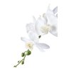 Umělá orchidej, zeleno-bílá, výška 49 cm – House Nordic
