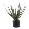 Umělá rostlina Aloe Vera, zelená, výška 51 cm – House Nordic
