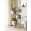 Umělá rostlina, zelená, 35 cm – House Nordic
